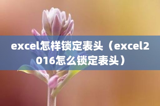 excel怎样锁定表头（excel2016怎么锁定表头）