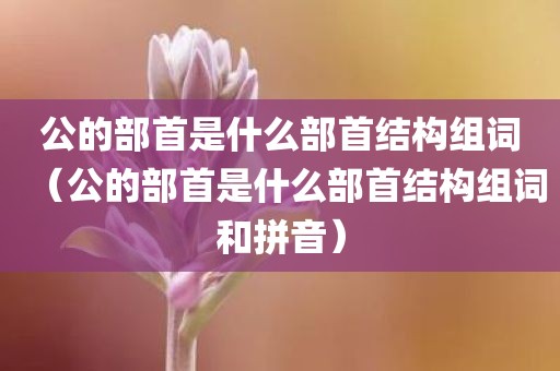 公的部首是什么部首结构组词（公的部首是什么部首结构组词和拼音）
