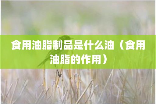 食用油脂制品是什么油（食用油脂的作用）
