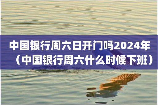 中国银行周六日开门吗2024年（中国银行周六什么时候下班）