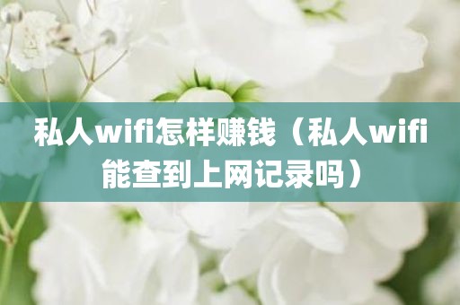 私人wifi怎样赚钱（私人wifi能查到上网记录吗）