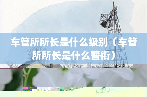 车管所所长是什么级别（车管所所长是什么警衔）