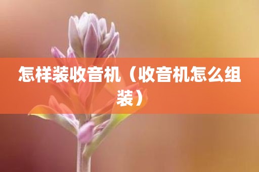 怎样装收音机（收音机怎么组装）