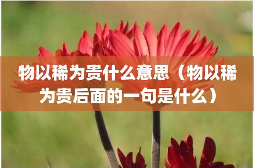 物以稀为贵什么意思（物以稀为贵后面的一句是什么）