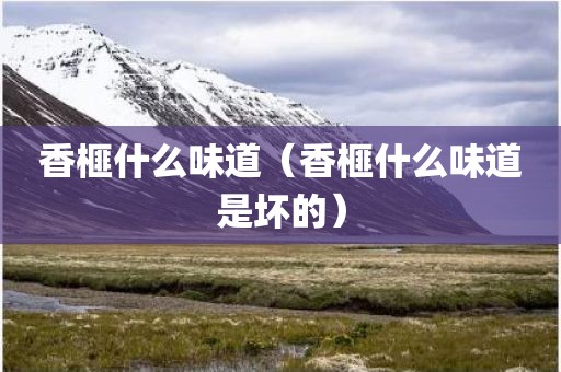 香榧什么味道（香榧什么味道是坏的）