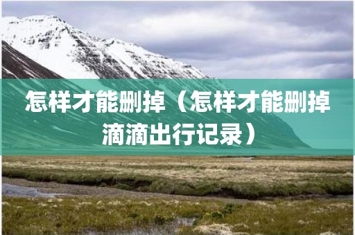 怎样才能删掉（怎样才能删掉滴滴出行记录）