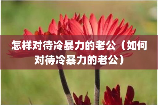 怎样对待冷暴力的老公（如何对待冷暴力的老公）