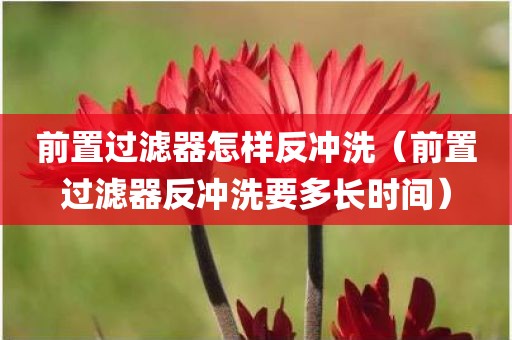 前置过滤器怎样反冲洗（前置过滤器反冲洗要多长时间）
