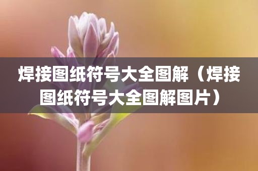 焊接图纸符号大全图解(焊接图纸符号大全图解图片) 焊接图纸符号大全图解(焊接图纸符号大全图解图片)