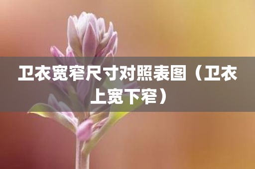 卫衣宽窄尺寸对照表图（卫衣上宽下窄）