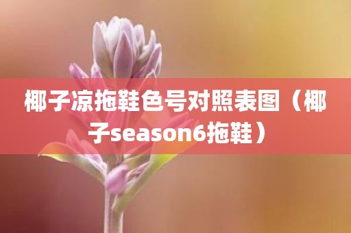 椰子凉拖鞋色号对照表图（椰子season6拖鞋）