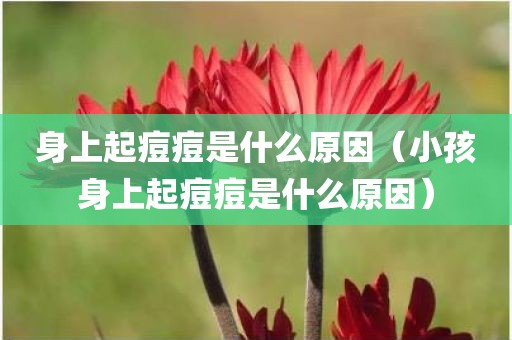 身上起痘痘是什么原因（小孩身上起痘痘是什么原因）
