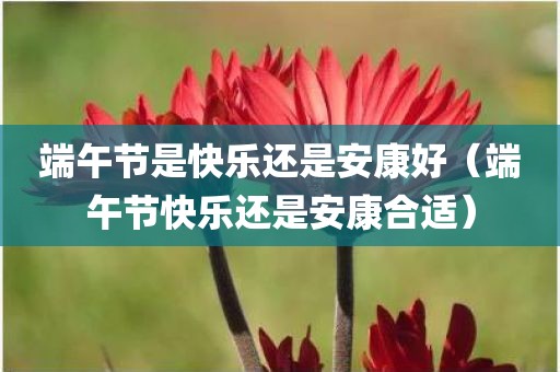 端午节是快乐还是安康好（端午节快乐还是安康合适）