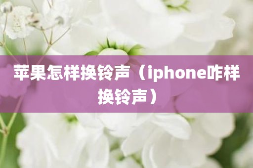 苹果怎样换铃声（iphone咋样换铃声）