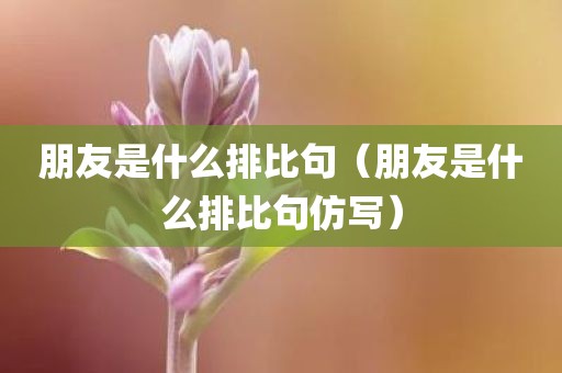 朋友是什么排比句（朋友是什么排比句仿写）