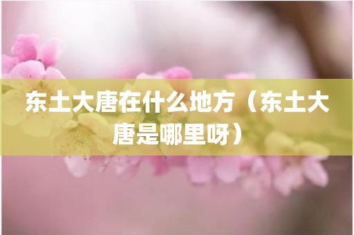 东土大唐在什么地方（东土大唐是哪里呀）