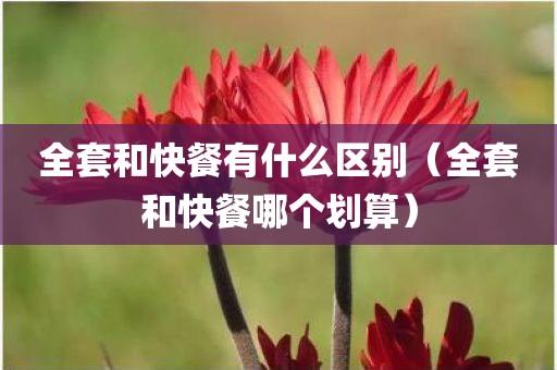 全套和快餐有什么区别（全套和快餐哪个划算）