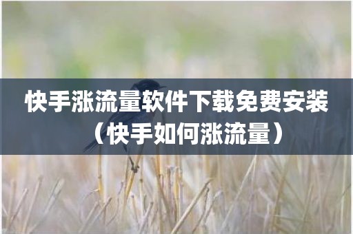 快手涨流量软件下载免费安装（快手如何涨流量）