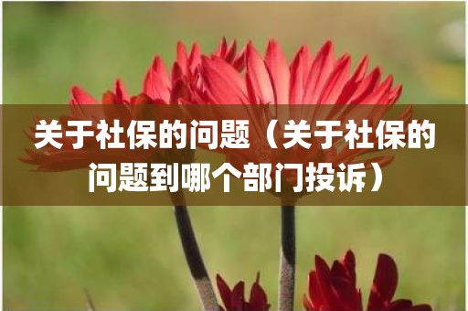 关于社保的问题（关于社保的问题到哪个部门投诉）