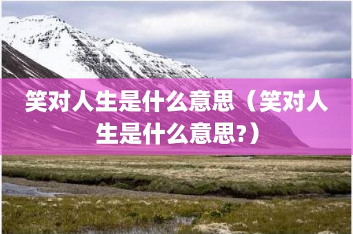 笑对人生是什么意思（笑对人生是什么意思?）