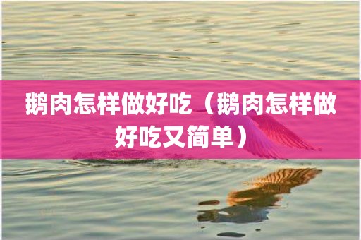 鹅肉怎样做好吃（鹅肉怎样做好吃又简单）