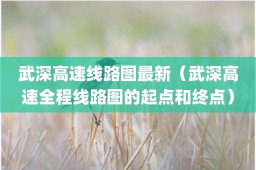 武深高速线路图最新（武深高速全程线路图的起点和终点）