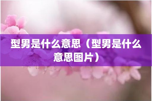 型男是什么意思（型男是什么意思图片）