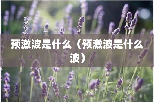 预激波是什么（预激波是什么波）
