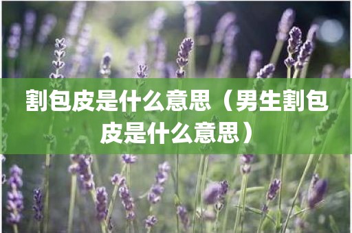 割包皮是什么意思（男生割包皮是什么意思）