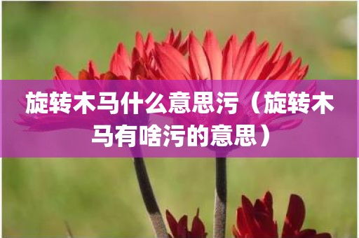 旋转木马什么意思污（旋转木马有啥污的意思）