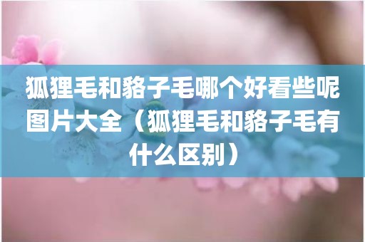 狐狸毛和貉子毛哪个好看些呢图片大全（狐狸毛和貉子毛有什么区别）