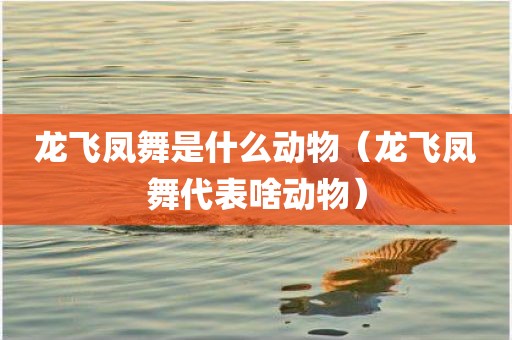 龙飞凤舞是什么动物（龙飞凤舞代表啥动物）