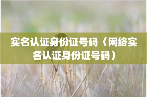 实名认证身份证号码（网络实名认证身份证号码）