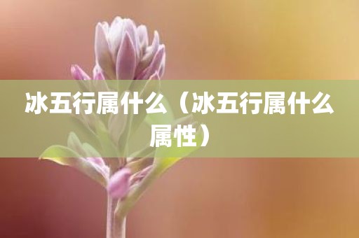 冰五行属什么（冰五行属什么属性）