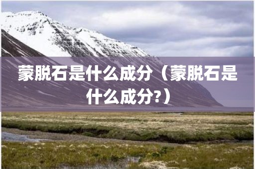 蒙脱石是什么成分（蒙脱石是什么成分?）