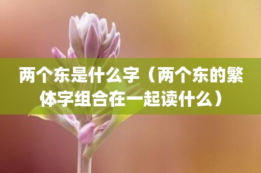 两个东是什么字（两个东的繁体字组合在一起读什么）