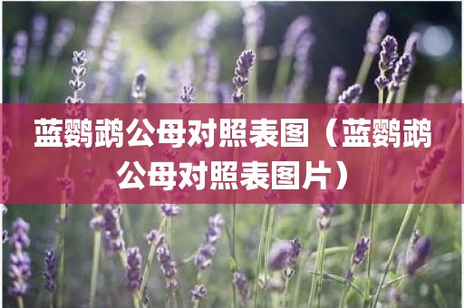 蓝鹦鹉公母对照表图（蓝鹦鹉公母对照表图片）