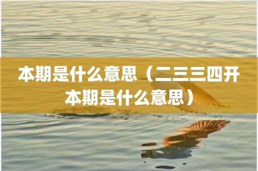 本期是什么意思（二三三四开本期是什么意思）