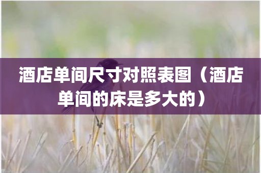 酒店单间尺寸对照表图（酒店单间的床是多大的）