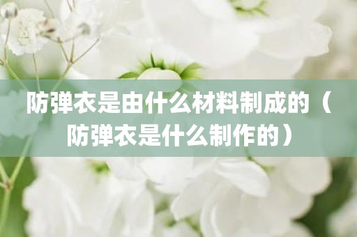 防弹衣是由什么材料制成的（防弹衣是什么制作的）