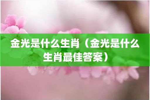 金光是什么生肖（金光是什么生肖最佳答案）
