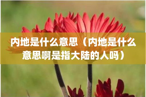 内地是什么意思（内地是什么意思啊是指大陆的人吗）