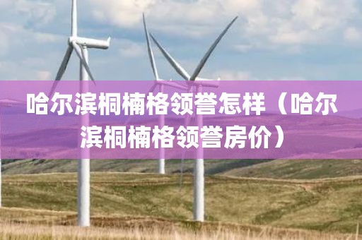 哈尔滨桐楠格领誉怎样（哈尔滨桐楠格领誉房价）