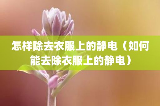 怎样除去衣服上的静电（如何能去除衣服上的静电）