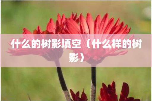 什么的树影填空（什么样的树影）