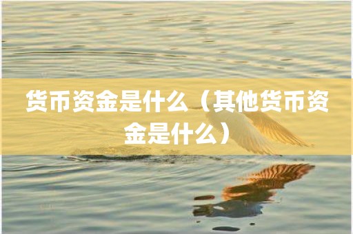 货币资金是什么（其他货币资金是什么）