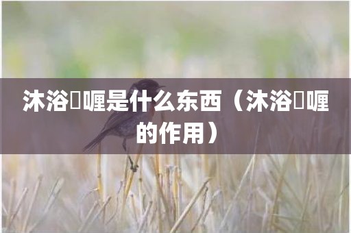 沐浴啫喱是什么东西（沐浴啫喱的作用）
