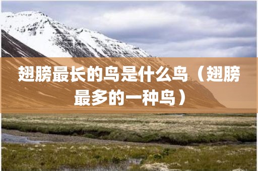 翅膀最长的鸟是什么鸟（翅膀最多的一种鸟）