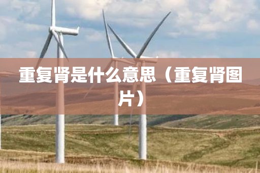 重复肾是什么意思（重复肾图片）
