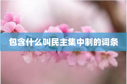 包含什么叫民主集中制的词条